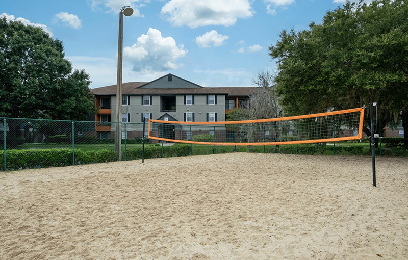 Volleyball court